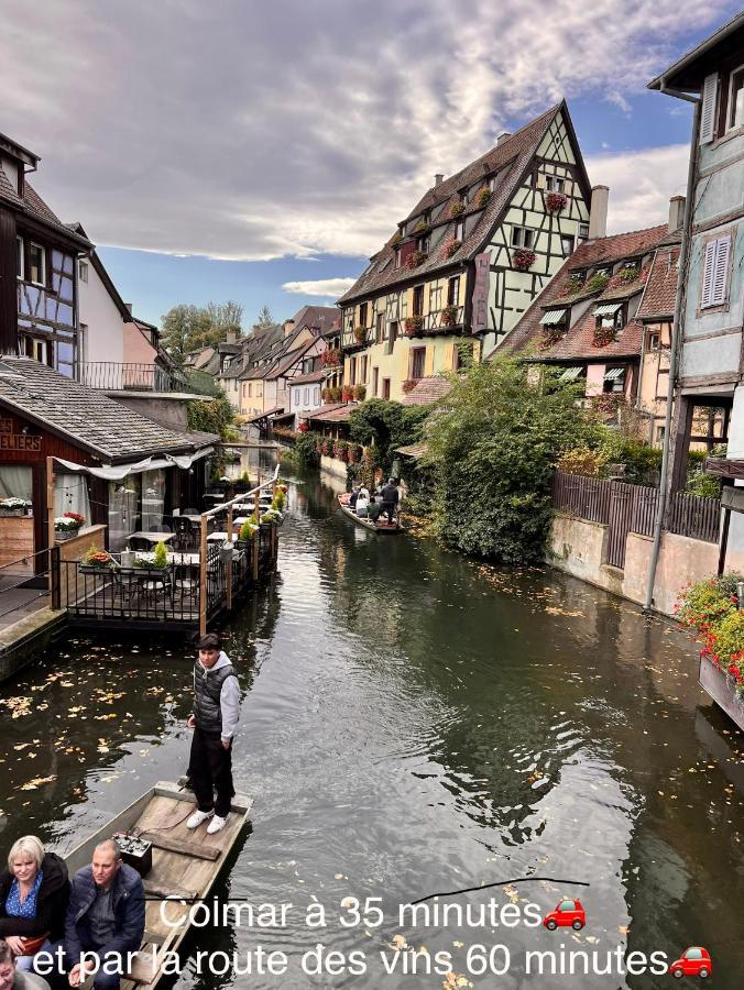 Hotel Le Manoir Барр Экстерьер фото